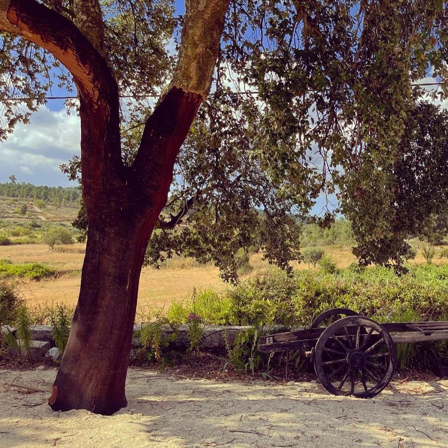 Quinta Da Corga Hotell Prova Exteriör bild